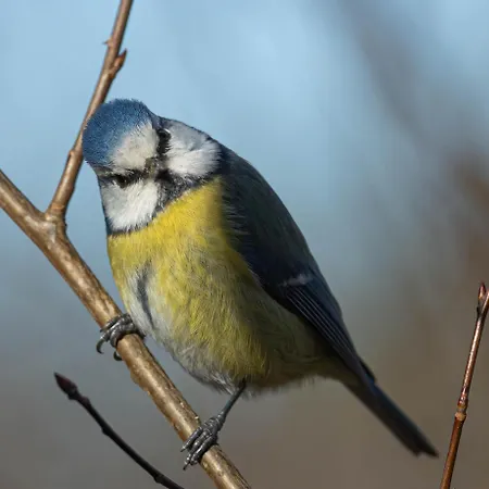 Lasko - Wildlife Phototherapy - 4 Luksusowe, Klimatyzowane Wille, Z Dostepem Do Oddalonego O 5 Min Spacerem Prywatnego Terenu Rekreacyjnego * Bierzwnik
