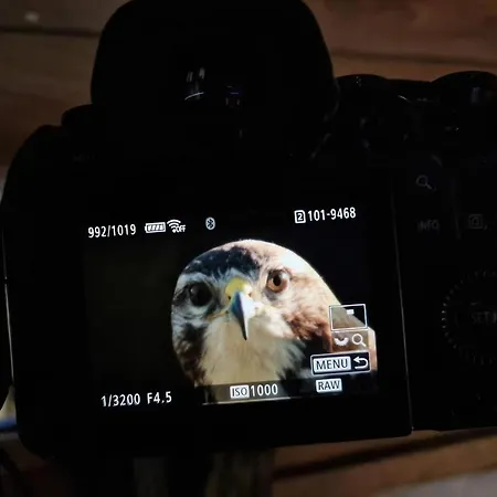 Villa Lasko - Wildlife Phototherapy - 4 Luksusowe, Klimatyzowane Wille, Z Dostepem Do Oddalonego O 5 Min Spacerem Prywatnego Terenu Rekreacyjnego Bierzwnik