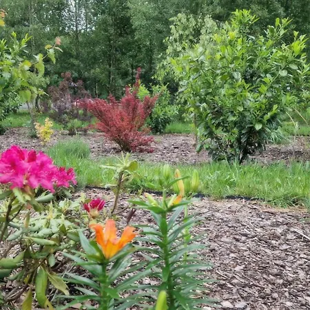 Lasko - Wildlife Phototherapy - 4 Luksusowe, Klimatyzowane Wille, Z Dostepem Do Oddalonego O 5 Min Spacerem Prywatnego Terenu Rekreacyjnego Villa *