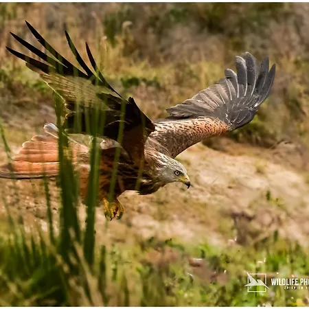 Lasko - Wildlife Phototherapy - 4 Luksusowe, Klimatyzowane Wille, Z Dostepem Do Oddalonego O 5 Min Spacerem Prywatnego Terenu Rekreacyjnego Villa Bierzwnik