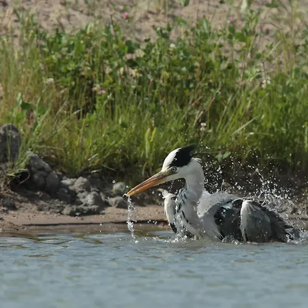 Lasko - Wildlife Phototherapy - 4 Luksusowe, Klimatyzowane Wille, Z Dostepem Do Oddalonego O 5 Min Spacerem Prywatnego Terenu Rekreacyjnego *