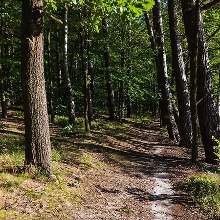 Villa Lasko - Wildlife Phototherapy - 4 Luksusowe, Klimatyzowane Wille, Z Dostepem Do Oddalonego O 5 Min Spacerem Prywatnego Terenu Rekreacyjnego *
