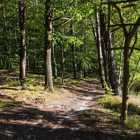 Villa Lasko - Wildlife Phototherapy - 4 Luksusowe, Klimatyzowane Wille, Z Dostepem Do Oddalonego O 5 Min Spacerem Prywatnego Terenu Rekreacyjnego *