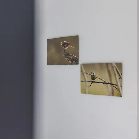 Villa Lasko - Wildlife Phototherapy - 4 Luksusowe, Klimatyzowane Wille, Z Dostepem Do Oddalonego O 5 Min Spacerem Prywatnego Terenu Rekreacyjnego *