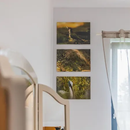 Lasko - Wildlife Phototherapy - 4 Luksusowe, Klimatyzowane Wille, Z Dostepem Do Oddalonego O 5 Min Spacerem Prywatnego Terenu Rekreacyjnego Villa Bierzwnik