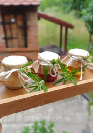 Lasko - Wildlife Phototherapy - 4 Luksusowe, Klimatyzowane Wille, Z Dostepem Do Oddalonego O 5 Min Spacerem Prywatnego Terenu Rekreacyjnego Bierzwnik